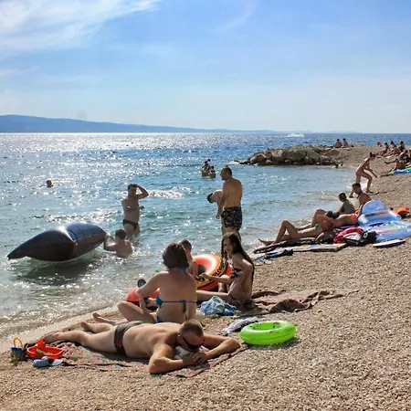 Nemira 5884b *